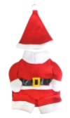 3D Santa Costume